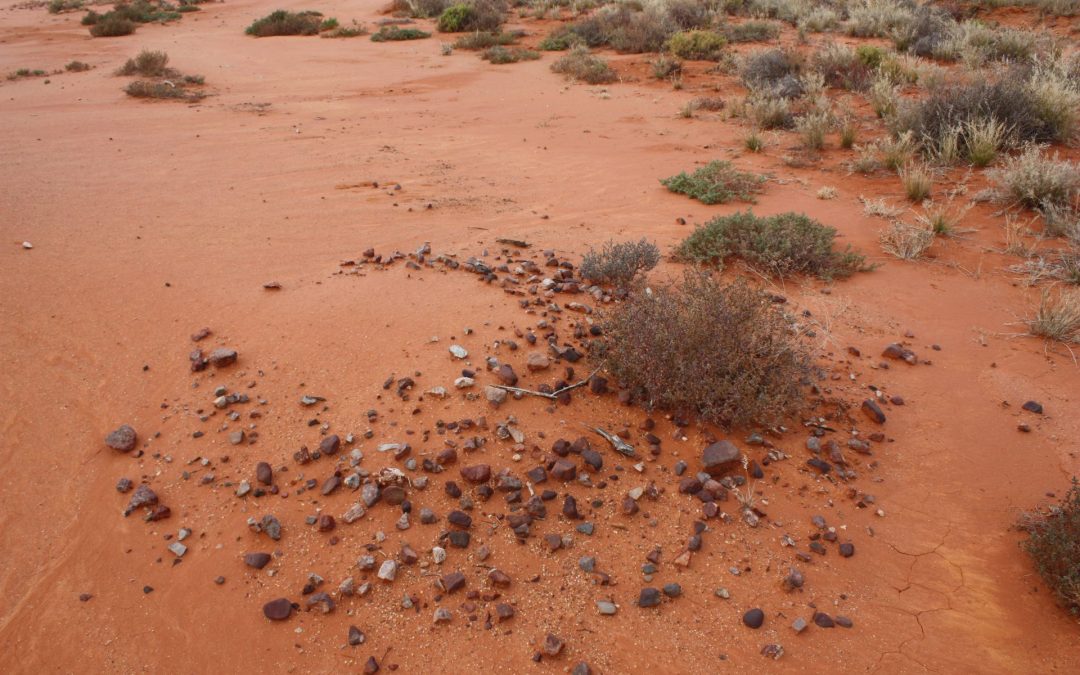 The formation of surface archaeological deposits in arid Australia