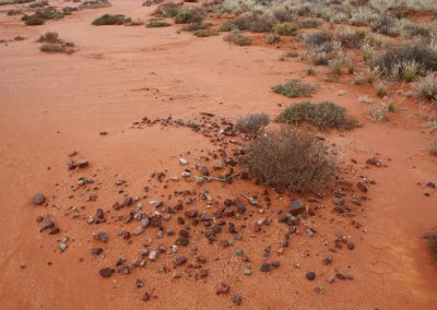 The formation of surface archaeological deposits in arid Australia
