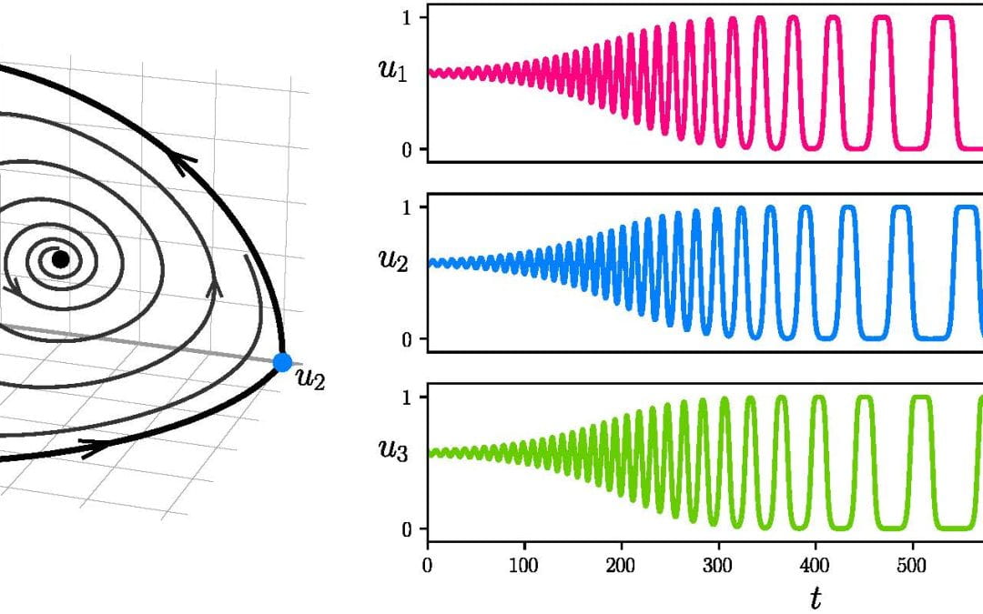 Listening to equations: a tool for the audification of heteroclinic networks